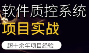软件质控系统项目实战-财仔梦想资源网