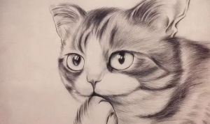 素描零基础直达四级课程-财仔梦想资源网