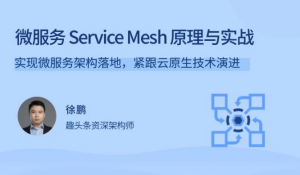 微服务ServiceMesh原理与实战-财仔梦想资源网