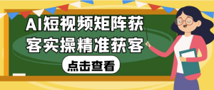 AI短视频矩阵获客实操精准获客-财仔梦想资源网