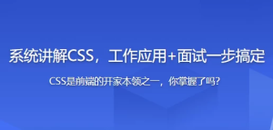 全面系统讲解CSS工作应用+面试一步搞定-财仔梦想资源网