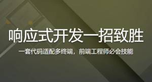 响应式开发一招致胜-财仔梦想资源网