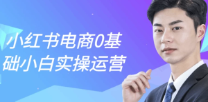 小红书电商0基础小白实操运营-财仔梦想资源网