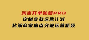 淘宝开单秘籍PRO，定制实战运营计划，化解商家痛点，突破运营瓶颈-财仔梦想资源网