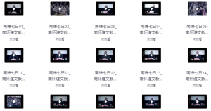 南禅七日（视频讲座+音频+文档21集）-财仔梦想资源网