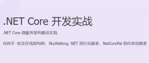 NETCore开发实战-财仔梦想资源网