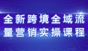 全新跨境全域流量营销实操课程-财仔梦想资源网