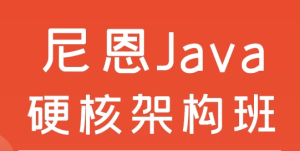 尼恩Java硬核架构班-财仔梦想资源网