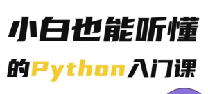 Python小白也能听懂的入门课-财仔梦想资源网