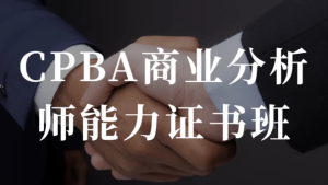 CPBA商业分析师能力证书班-财仔梦想资源网