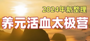 28天养元活血太极营(2024全面升级版)-财仔梦想资源网