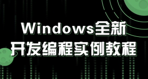 Windows全新开发编程实例教程-财仔梦想资源网