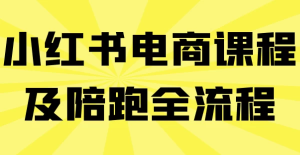 小红书电商课程及陪跑全流程-财仔梦想资源网