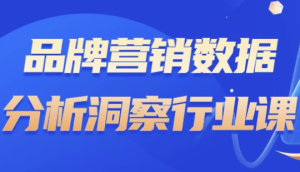 品牌营销数据分析洞察行业课-财仔梦想资源网