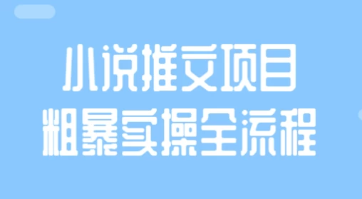 小说推文项目粗暴实操全流程-财仔梦想资源网