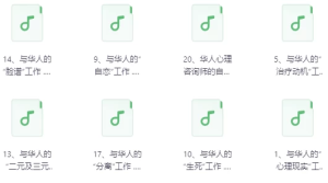 中国人的心理治疗音频20讲-财仔梦想资源网