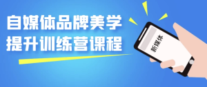 自媒体品牌美学提升训练营课程-财仔梦想资源网