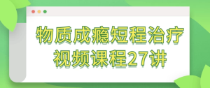 物质成瘾短程治疗视频课程27讲-财仔梦想资源网