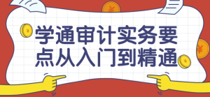 学通审计实务要点从入门到精通课-财仔梦想资源网