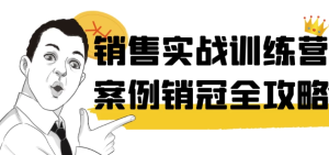 销售实战训练营案例销冠全攻略-财仔梦想资源网