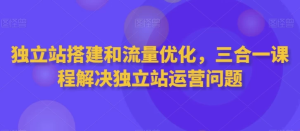 独立站搭建和流量优化三合一课程-财仔梦想资源网