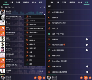 全能音乐播放器v109纯净版-财仔梦想资源网
