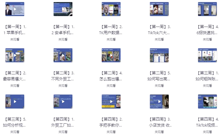 TikTok外贸工厂陪跑训练营-财仔梦想资源网