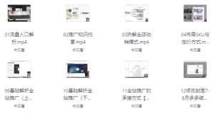 拼多多系统化课程-财仔梦想资源网