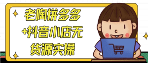 老陶拼多多+抖音小店无货源实操-财仔梦想资源网