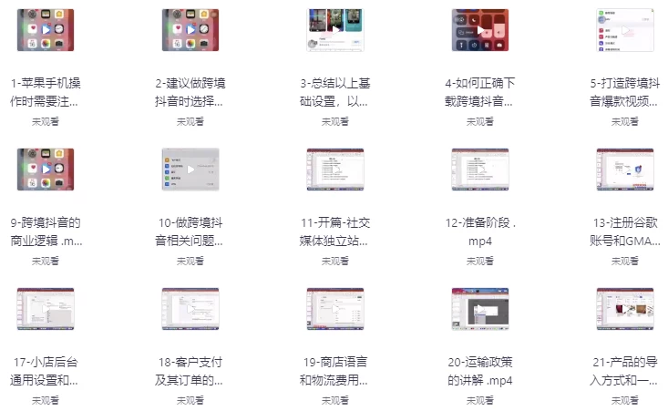 TikTok+独立站0基础入门到精通，跨境电商独立站新手必学课-财仔梦想资源网