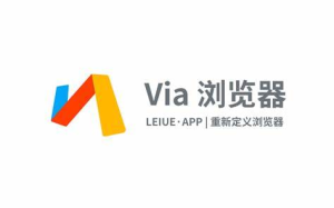 Via浏览器APP(简洁轻快的浏览器)v6.4.0谷歌版-财仔梦想资源网