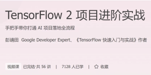 TensorFlow2项目进阶实战-财仔梦想资源网