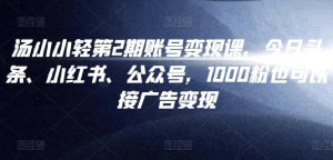 汤小小账号变现课第2期-财仔梦想资源网