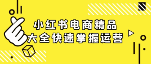 小红书电商精品大全快速掌握运营-财仔梦想资源网