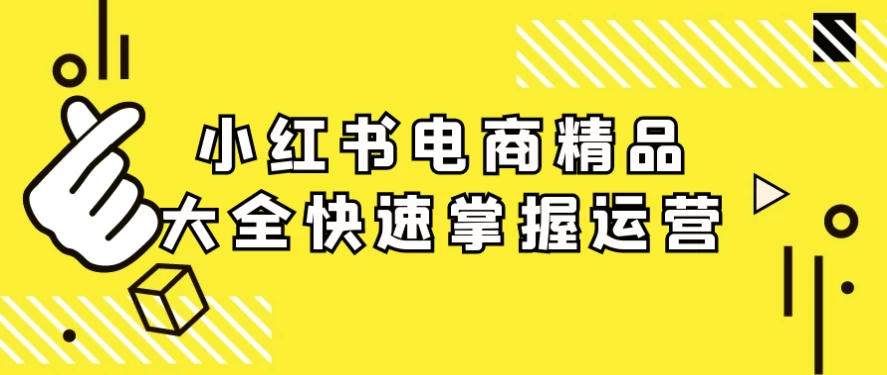 小红书电商精品大全快速掌握运营-财仔梦想资源网