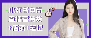 小红书电商直播营带货+店铺+笔记-财仔梦想资源网