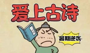 沪江大语文《爱上古诗词》【全套高清视频+课件+MP3+讲义】-财仔梦想资源网