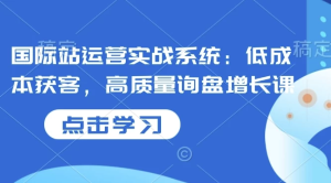 国际站运营实战系统：低成本获客，高质量询盘增长课-财仔梦想资源网
