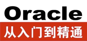 Oracle从入门到精通（第4版）-带源码课件-财仔梦想资源网
