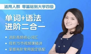 单词+语法进阶二合一（185节）-财仔梦想资源网