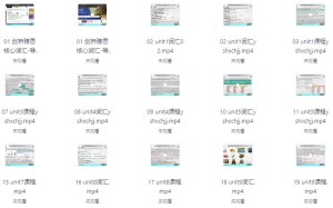 雅思全能7分旗舰外教VIP全程班-财仔梦想资源网