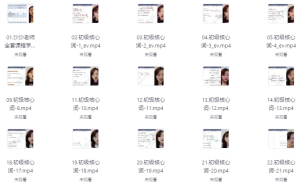 沙沙老师单词+语法初级二合一（341节）-财仔梦想资源网