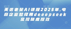 2025天诺老吴AI课程，电商企业如何用deeepseek实现降本提效-财仔梦想资源网