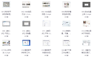拼多多精细化运营店铺0-1，从零起步到爆单详细教程-财仔梦想资源网