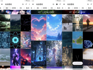 LiveWallpapers动态壁纸v5.3.1高级版-财仔梦想资源网