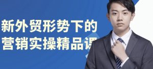 新外贸形势下的营销实操精品课-财仔梦想资源网