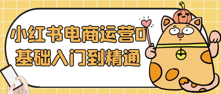 小红书电商运营0基础入门到精通-财仔梦想资源网