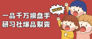 一品千万操盘手研习社爆品裂变-财仔梦想资源网