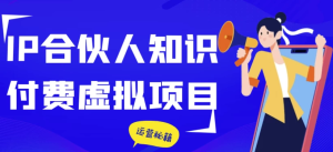 IP合伙人知识付费虚拟项目-财仔梦想资源网