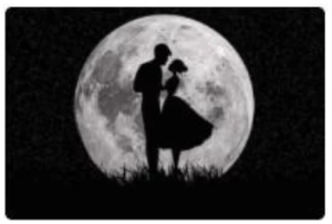 爱上情感-恋爱精品课-表白指南-财仔梦想资源网